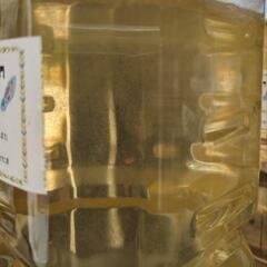 ゾウリムシ　2L 1000円　無人販売24時間営業中！　メダカの針子・稚魚に最適　宜野湾市大謝名小学校の裏門前　Googleマップにのってます👍
の画像