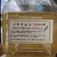 ゾウリムシ　2L 1000円　無人販売24時間営業中！　メダカの...