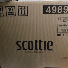 激安【新品未開封】スコッティボックスティッシュ（2ケース120箱...