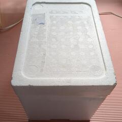 【お話中】発泡スチロールボックス