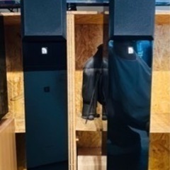 エイブイ：Audio Pro トールボーイスピーカー image...