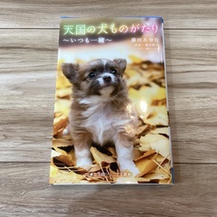 天国の犬物語