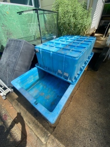 ダイライト300ﾘｯﾄﾙ角容器　錦鯉金魚大型魚日淡メダカ