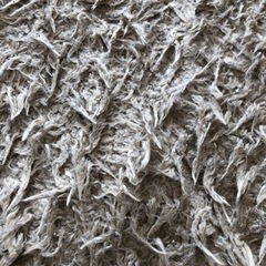 【あげます】ラグマット9/6までの受け取りできる方の画像