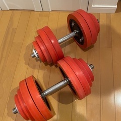 アイロテック ダンベル 60kg  （30kg 2セット）