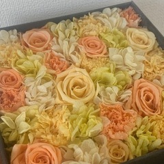 マクラメタペストリー＆ニコライ・バーグマン【無料でお譲り致します】の画像