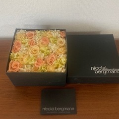 マクラメタペストリー＆ニコライ・バーグマン【無料でお譲り致します】