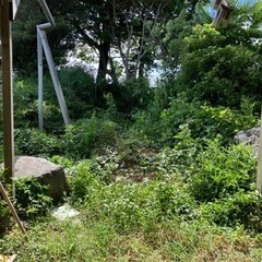 庭石