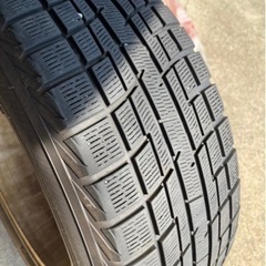 新品 唐花 着物 正絹“芽生える素敵な時間”仕付糸付 トールサイズ 小紋4228