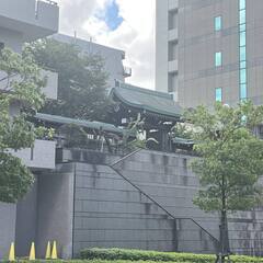 お寺でヨガ！  神泉・目黒神泉エリア　＠大教寺 9/10（日）始まります！の画像
