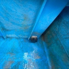 ダイライト200ﾘｯﾄﾙ 錦鯉金魚メダカ日淡大型魚 (ヒゲガエル