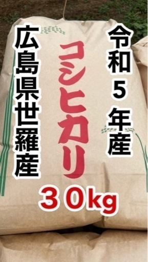 18日まで限定！販売終了に伴い最終値下げ！手渡し用【令和5年産】新米