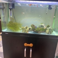 (お話中)60センチ水槽一式
