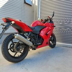 カワサキ ニンジャ250R   兵庫県の画像