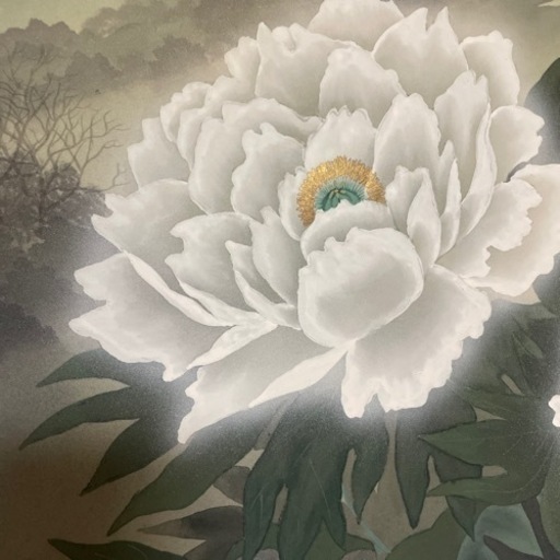 美品 掛け軸 小野守鳳作 白牡丹図 共箱 二重箱 太巻き付 年中掛け おもてなし