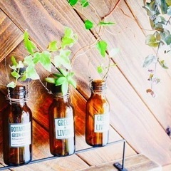 ビール　空瓶　チェコ　リメイク　DIYの画像