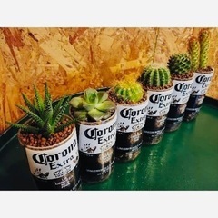 コロナビール　空瓶　リメイク　DIYの画像