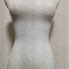 トルソーの画像