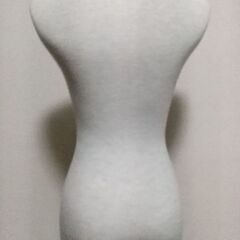 トルソーの画像