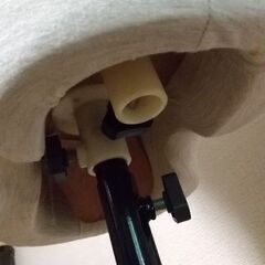 トルソーの画像