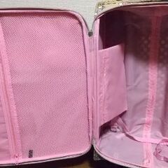 キャリーバッグの画像