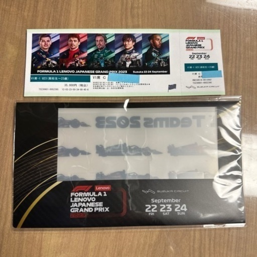F-1日本GP観戦券（年齢制限有り）1枚