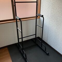 STEADY 懸垂スタンド、チンニングスタンド、ぶら下がり健康器