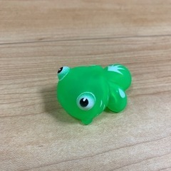 キュピキュピ鳴る金魚(9/19廃棄します)の画像