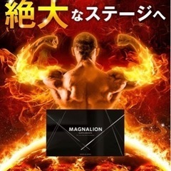MAGNALION  マグナリオン　メンズサプリ