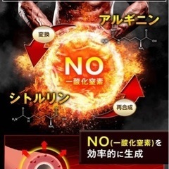 MAGNALION  マグナリオン　メンズサプリの画像