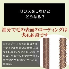 s55 ☆ 犬 シャンプー & トリートメント 無添加 オーガニック 日本製の画像