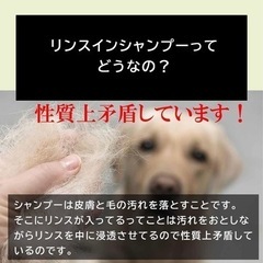 s55 ☆ 犬 シャンプー & トリートメント 無添加 オーガニック 日本製の画像