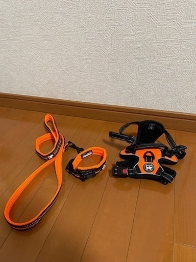 小型犬用　首輪、ハーネス、リード　お散歩セット