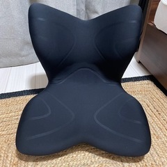 MTG Style PREMIUM 骨盤サポートチェアの画像