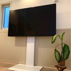 【美品】LG テレビ60インチ+TVスタンド付き