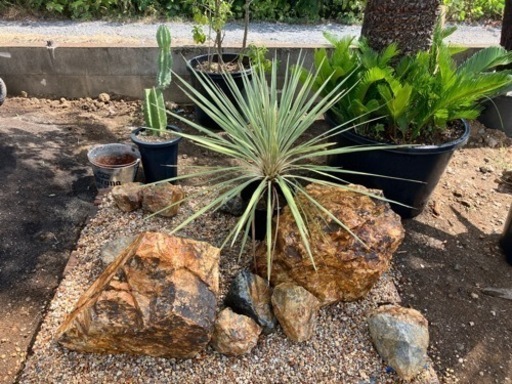 岐阜石、５月２０日入荷！見学可能！！持ち帰り可能！