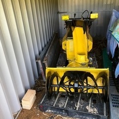 Shane Gaalaas シェーン・ガラース 直筆サイン入り入手困難ポスター