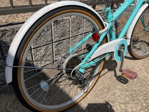 MAHALO マハロ24インチミントグリーン玉越工業 (たけんち