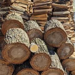 広葉樹薪280kg♫1年半乾燥の画像