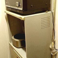 PanasonicビストロNE-R3300