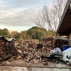 ナラくぬぎミックス1立米　40〜45センチサイズの画像