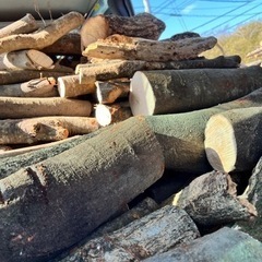 ナラくぬぎミックス1立米　40〜45センチサイズの画像