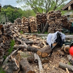 ナラくぬぎミックス1立米　40〜45センチサイズの画像