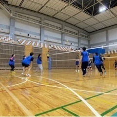 バレー経験者募集中