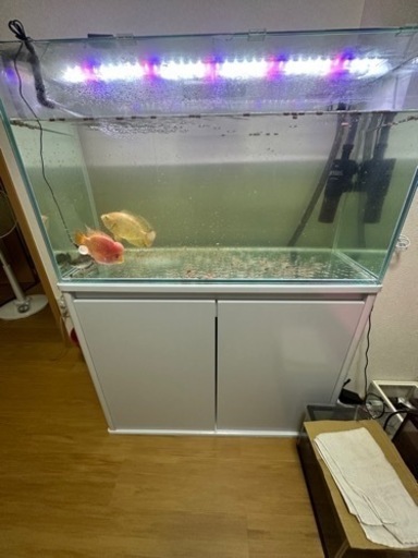 90cmフルセット水槽