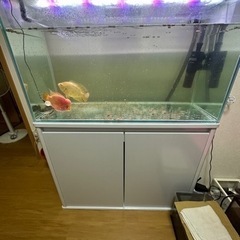 90cmフルセット水槽