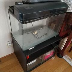 【ニッソー　60cm水槽 】台付き（専用台ではありません）の画像