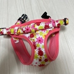 犬用ハーネス
