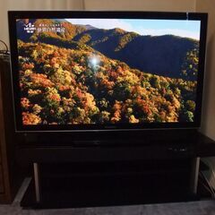 商談中　Panasonic 50型 プラズマテレビ   YAMA...