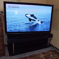 商談中　Panasonic 50型 プラズマテレビ   YAMAHA シアターラック（テレビ台）セットの画像